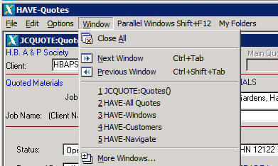parallelwindows3